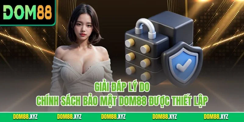 Giải đáp lý do chính sách bảo mật DOM88 được thiết lập