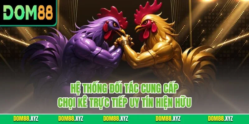 Hệ thống đối tác cung cấp chọi kê trực tiếp uy tín hiện hữu