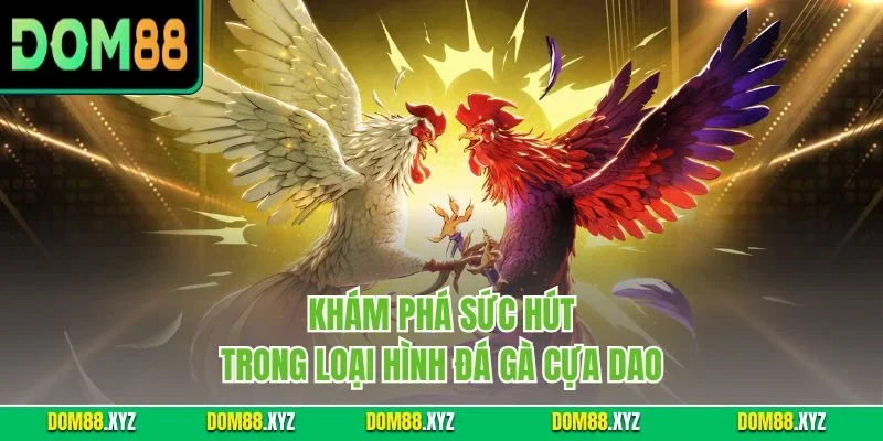 Khám phá sức hút trong loại hình đá gà cựa dao