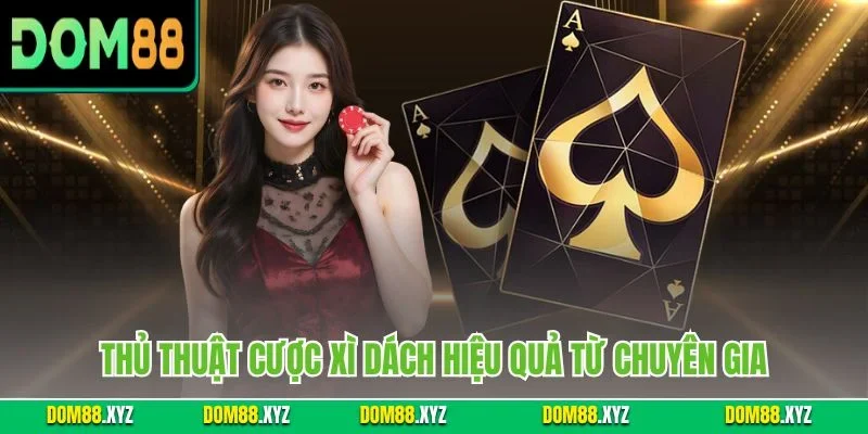 Thủ thuật cược xì dách hiệu quả từ chuyên gia 