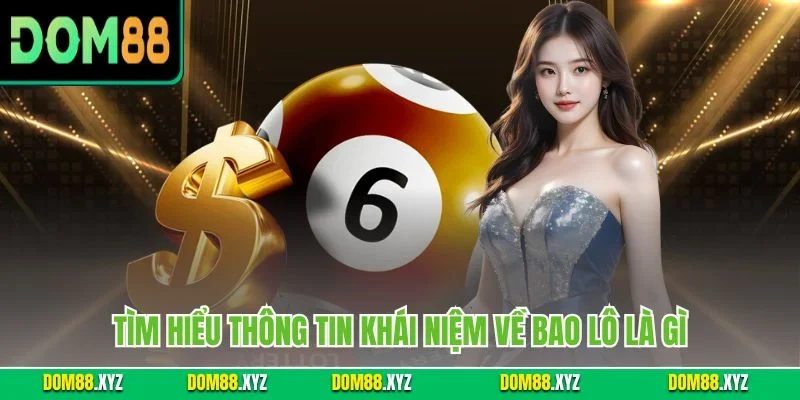 Tìm hiểu thông tin khái niệm về bao lô là gì